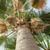 Image-square_50
