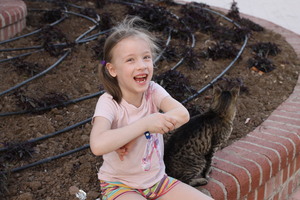 Image-preview_300x200