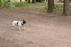 Image-preview_300x200