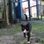Image-square_50