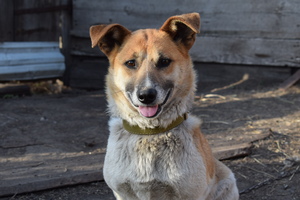 Image-preview_300x200