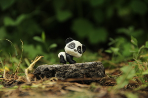 Image-preview_300x200