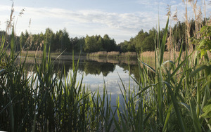 Image-preview_300x200