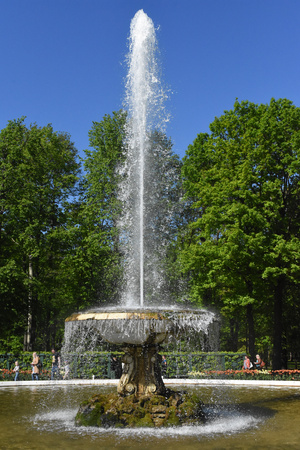 Image-preview_300x200