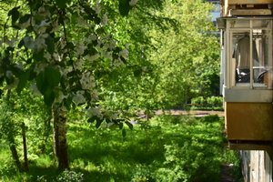 Image-preview_300x200