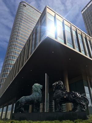 Image-preview_300x200