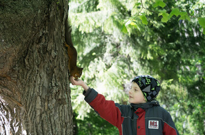 Image-preview_300x200