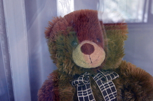 Image-preview_300x200