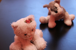 Image-preview_300x200