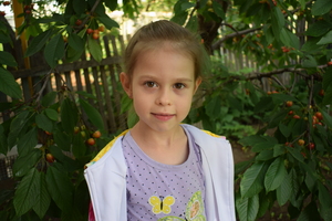 Image-preview_300x200