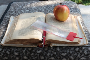 Image-preview_300x200