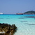 Image-square_50