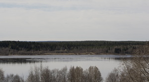 Image-preview_300x200