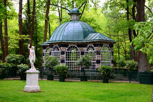 Image-preview_300x200