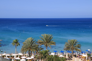 Image-preview_300x200