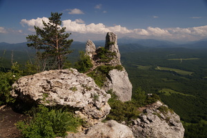 Image-preview_300x200