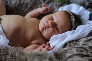 Image-preview_300x200