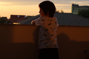 Image-preview_300x200