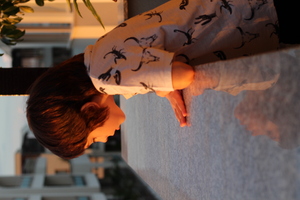 Image-preview_300x200