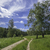 Image-square_50