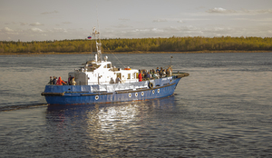 Image-preview_300x200