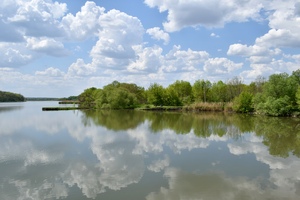 Image-preview_300x200