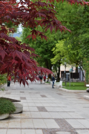 Image-preview_300x200