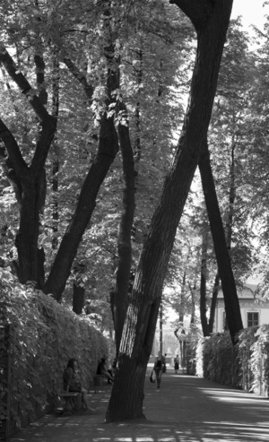 Image-preview_300x200