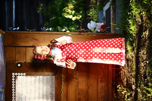 Image-preview_300x200