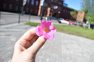 Image-preview_300x200