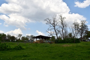 Image-preview_300x200