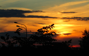 Image-preview_300x200