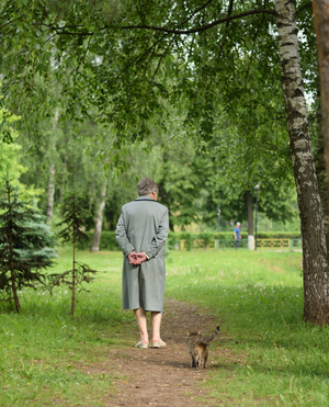 Image-preview_300x200