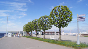 Image-preview_300x200