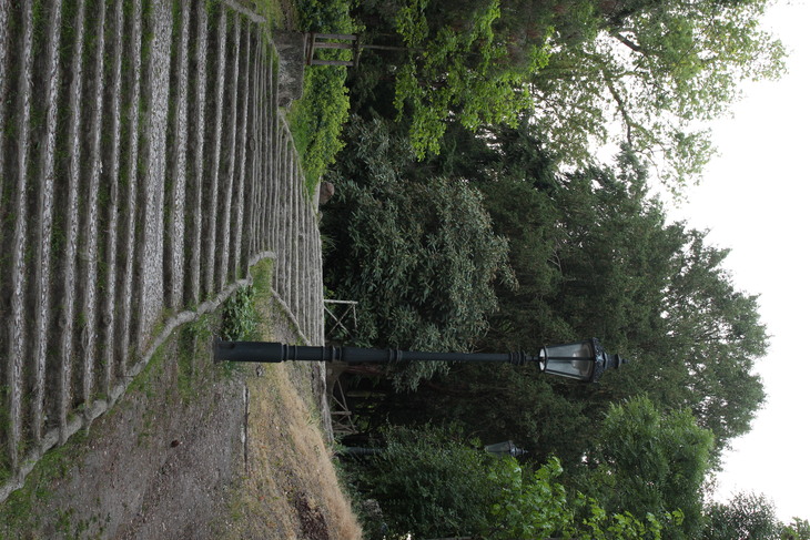 Image-normal