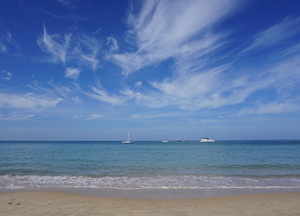 Image-preview_300x200