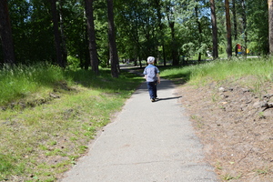 Image-preview_300x200