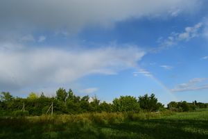 Image-preview_300x200