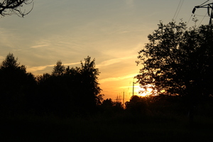 Image-preview_300x200