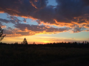 Image-preview_300x200