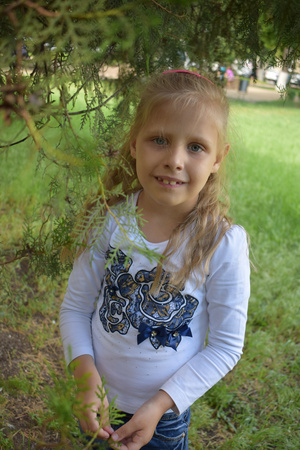 Image-preview_300x200