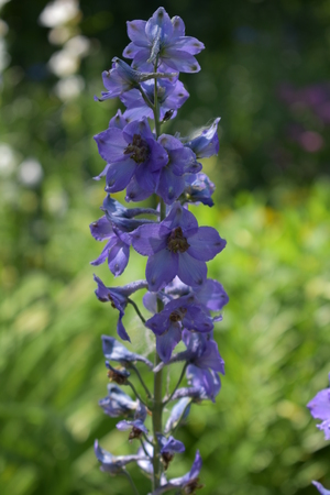 Image-preview_300x200