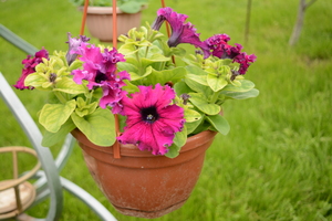 Image-preview_300x200