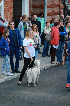 Image-preview_300x200