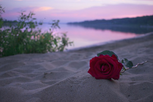 Image-preview_300x200