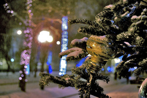 Image-preview_300x200