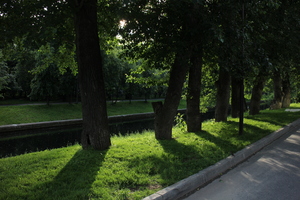 Image-preview_300x200