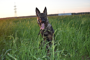 Image-preview_300x200