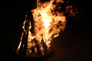 Image-preview_300x200