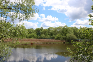 Image-preview_300x200